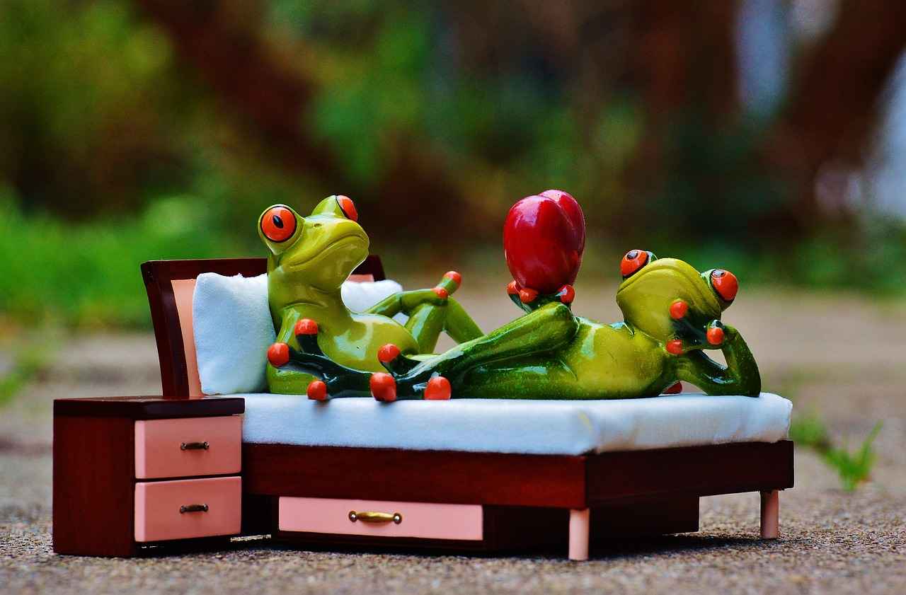 10. Customer Experiences and Testimonials