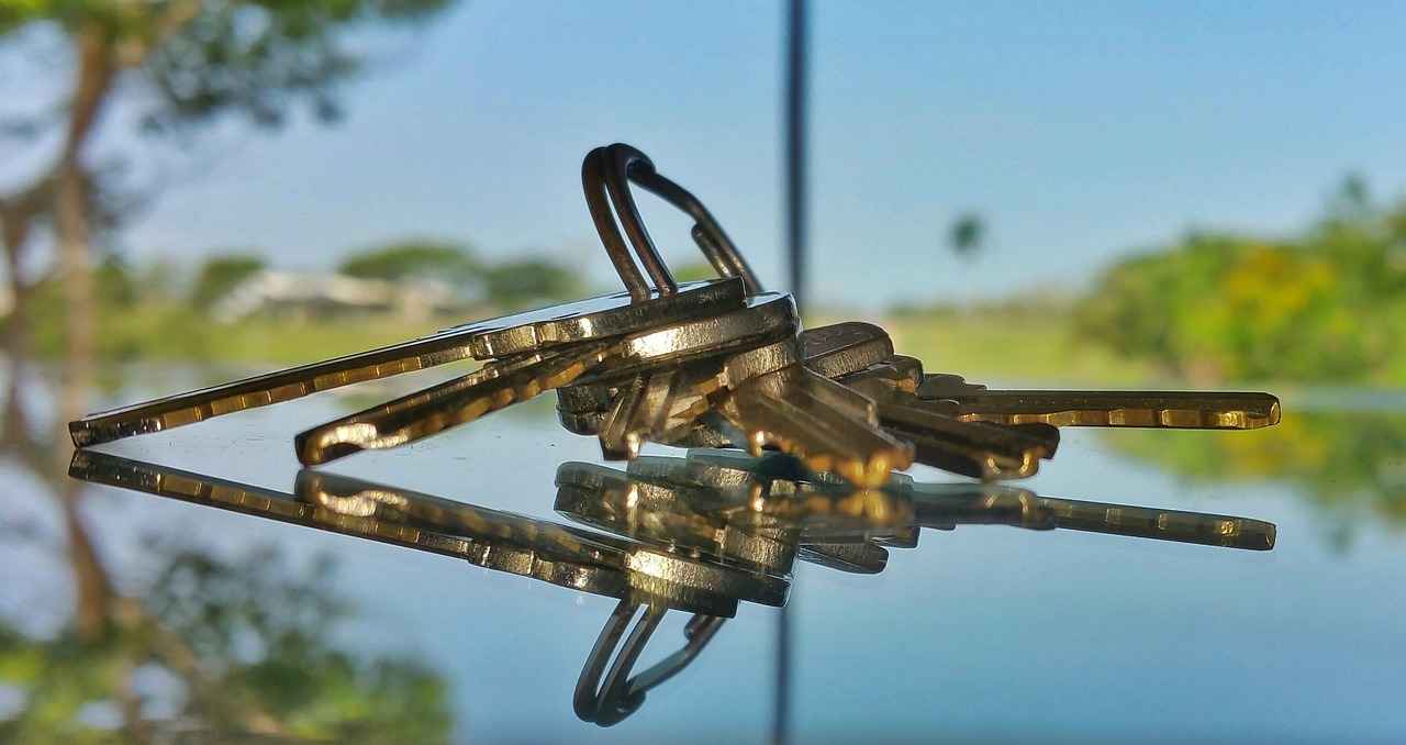 Why Use a Cell Phone Holder in Your Car?