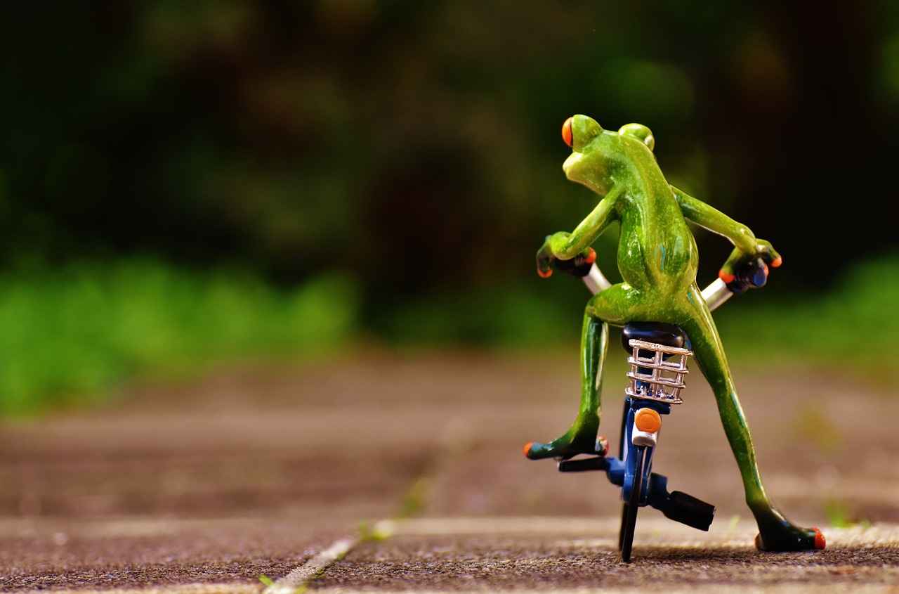 Why You Need a Bicycle Phone Holder