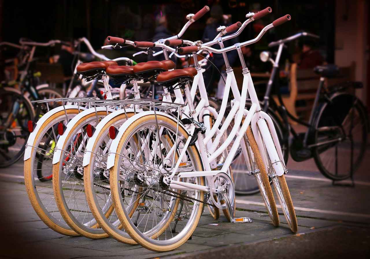 Top Bike Phone Holders on the Market