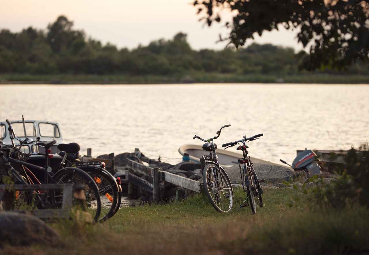 Installation Tips for Bike Phone Holders