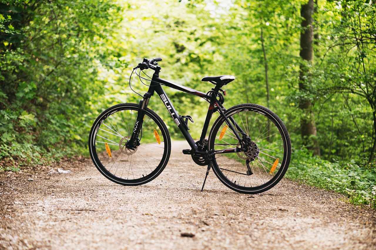 Types of Bike Phone Holders