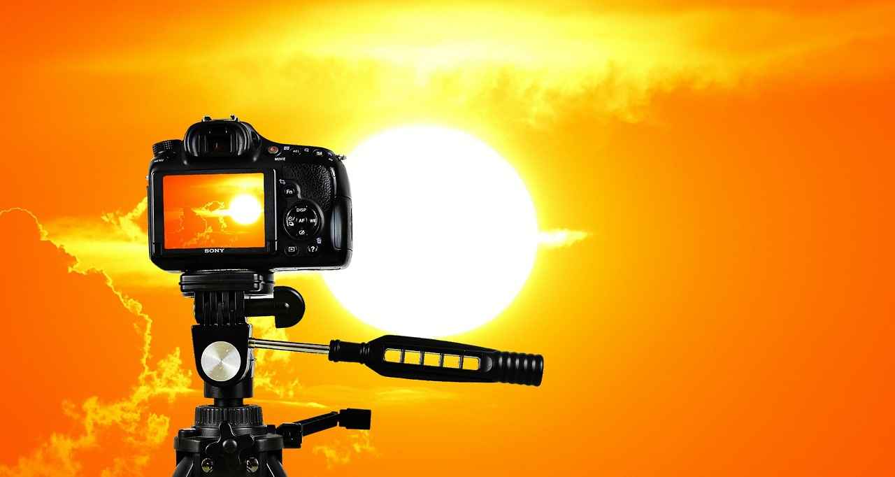 Key Features to Look For