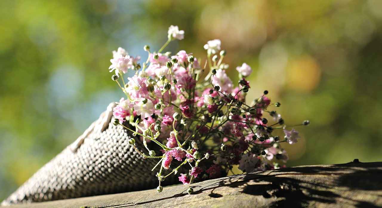 Care and Maintenance Tips