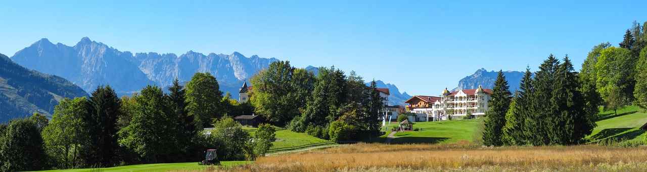 What are Golf Buggy Phone Holders?