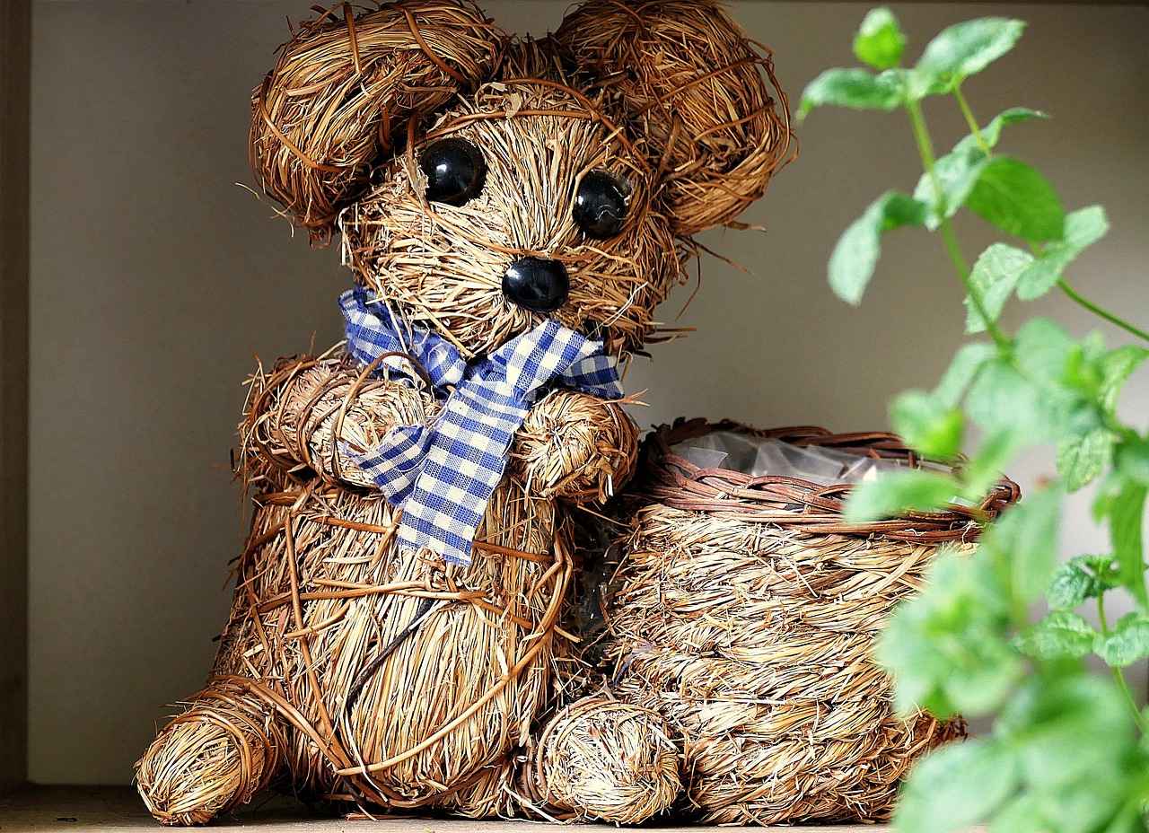 9. User Reviews and Testimonials