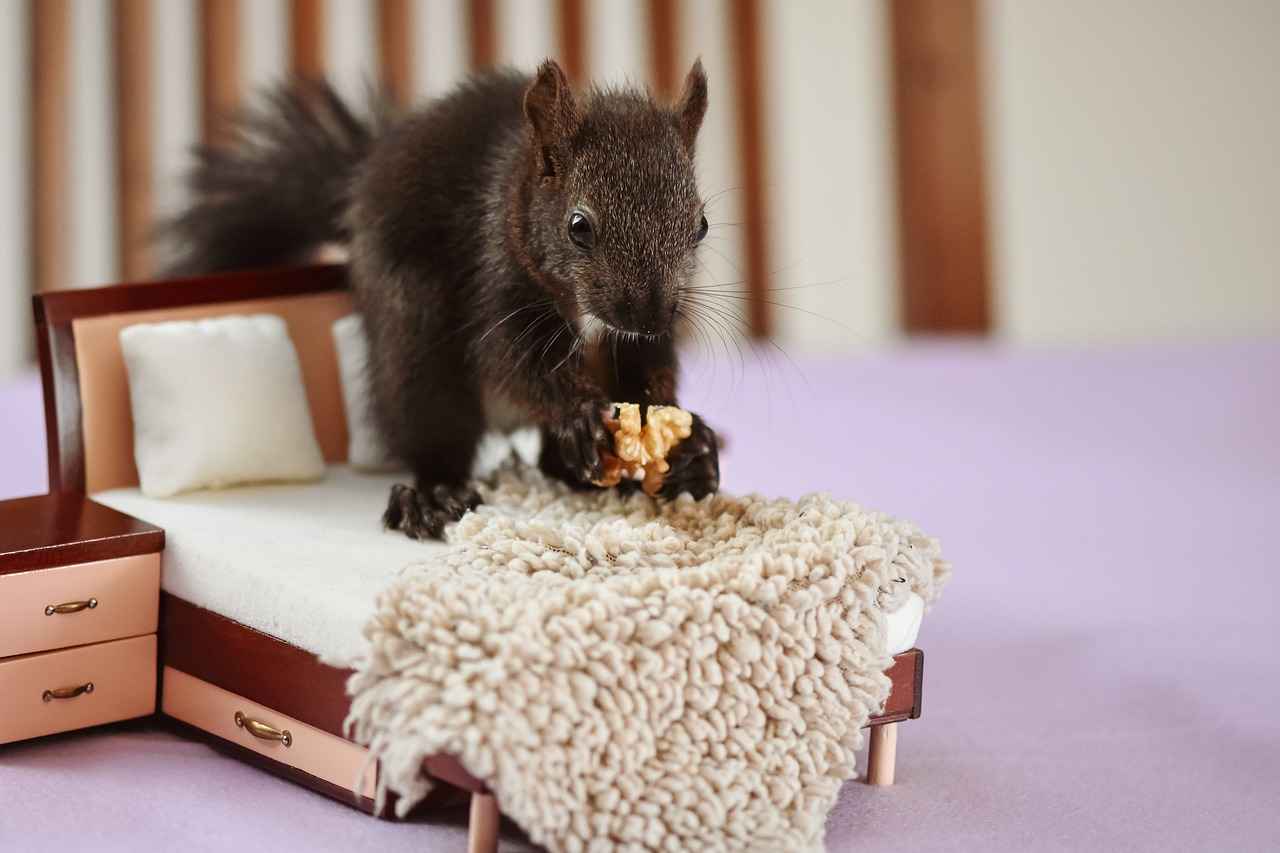 4. Choosing the Right Phone Holder for Your Bed