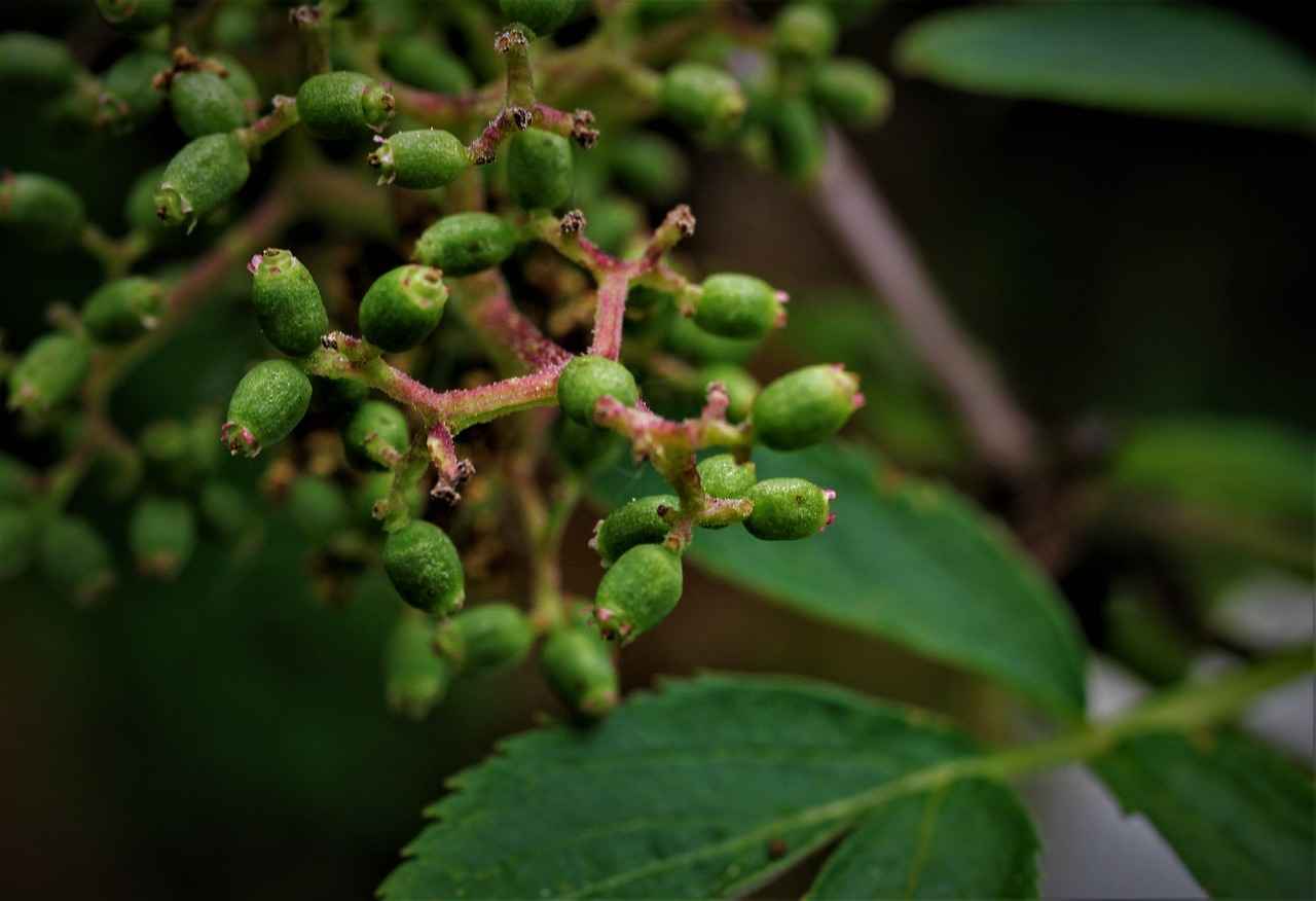 Types of Phone Holders for Xbox Controllers