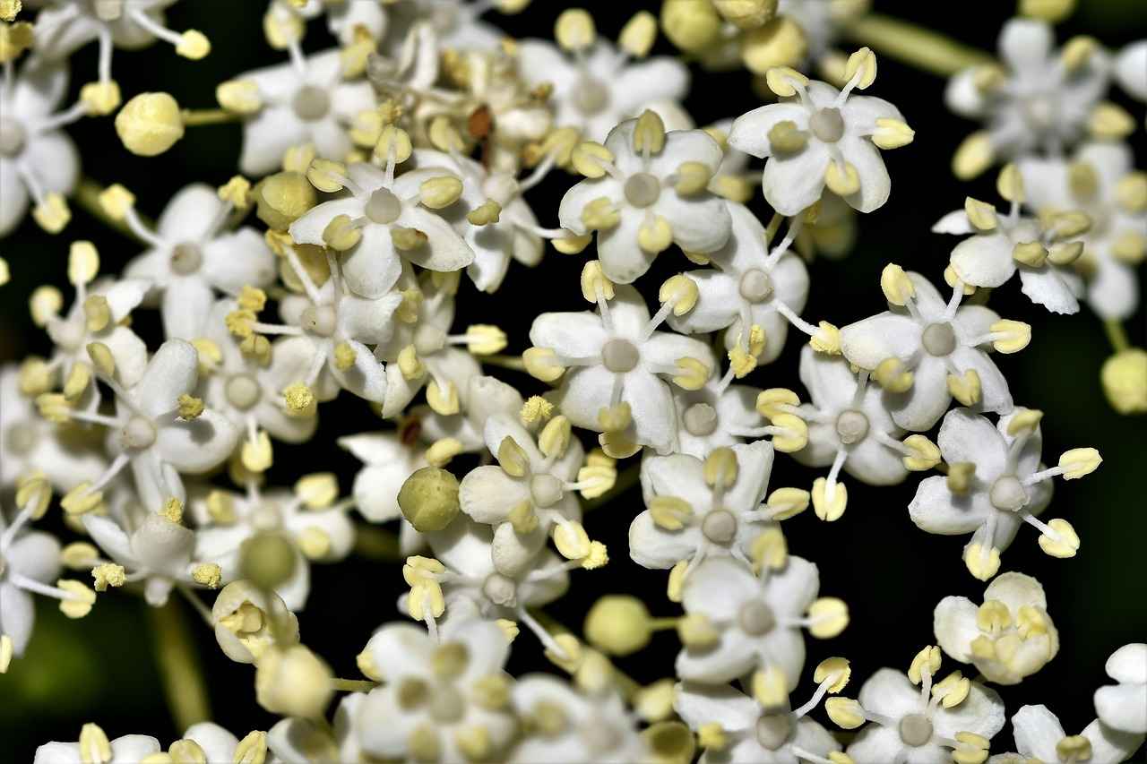 Safety Considerations