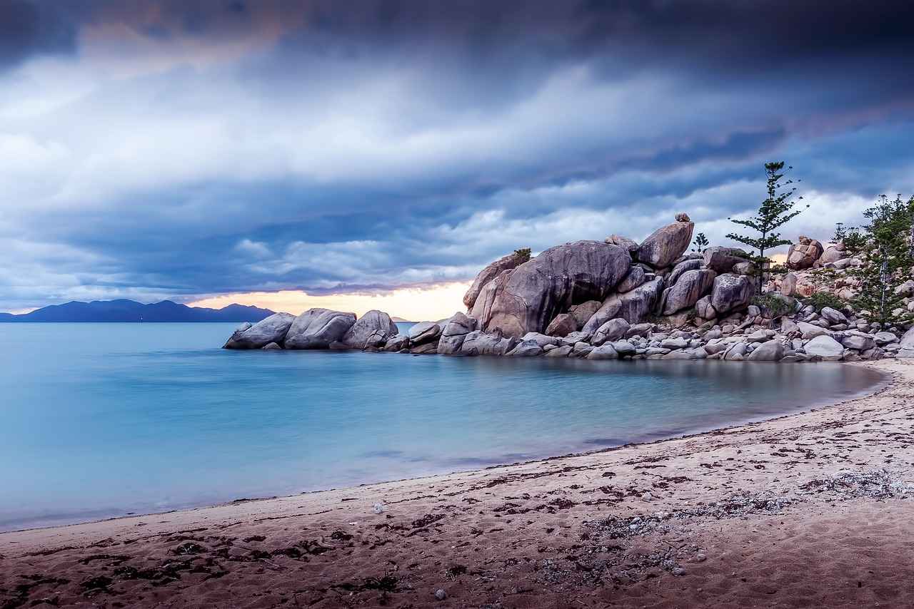 Customer Reviews and Recommendations