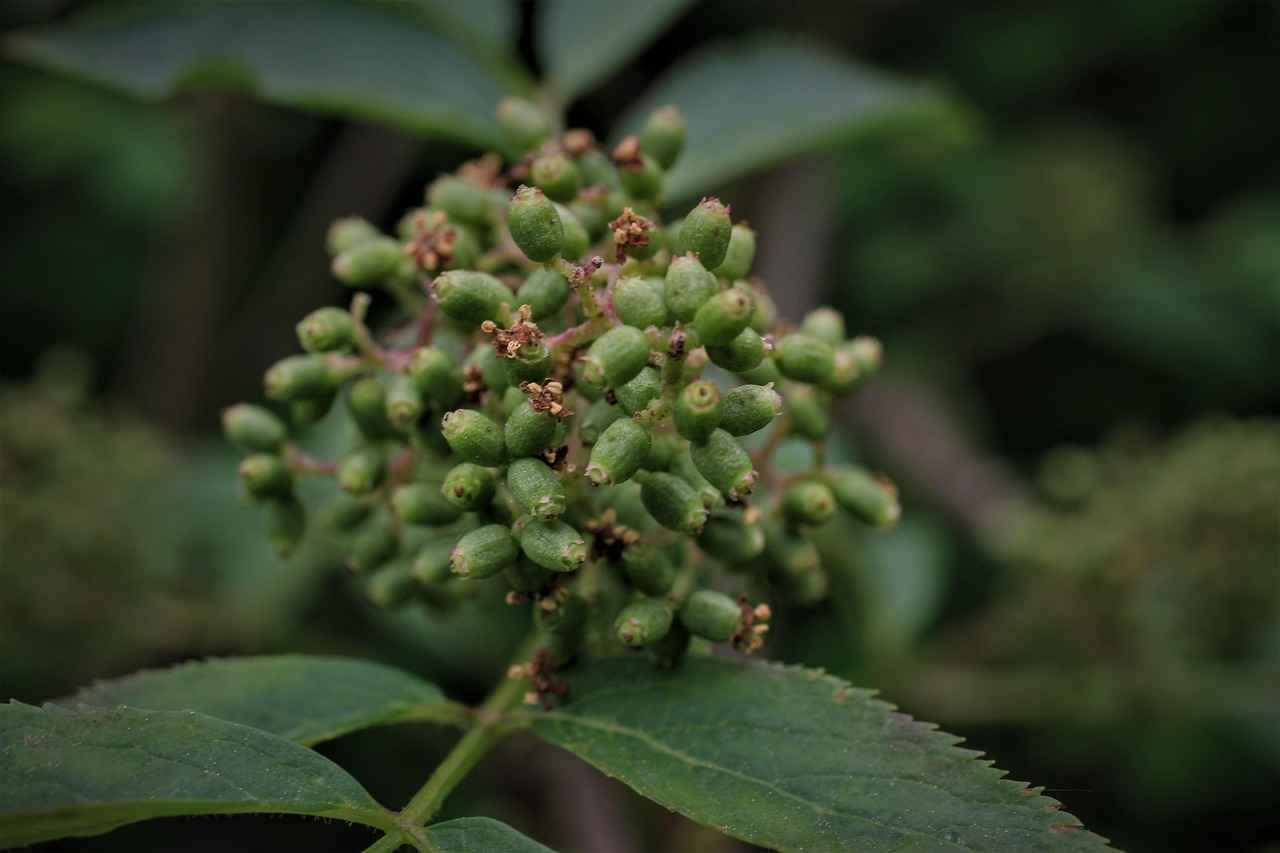 Conclusion: Choosing the Right Magnetic Phone Holder