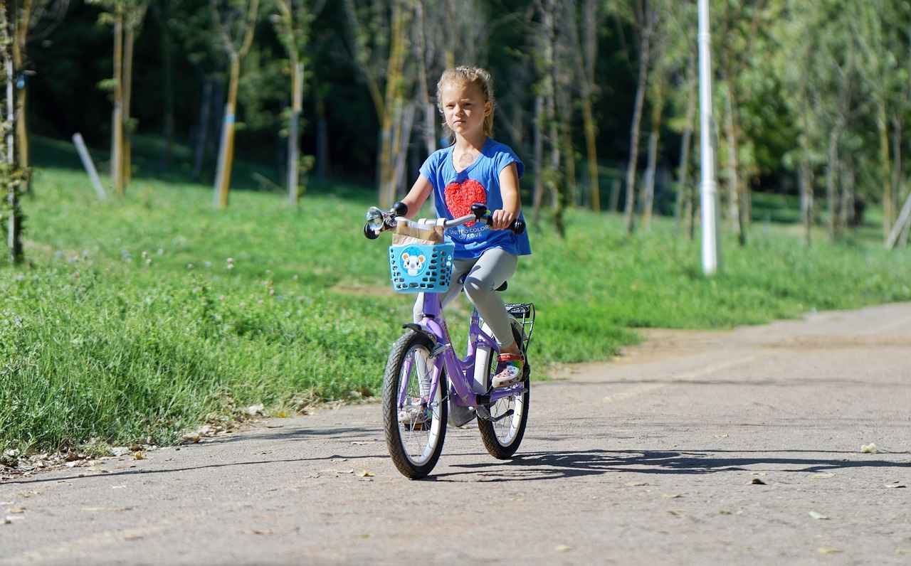 1. Importance of Bike Phone Holders