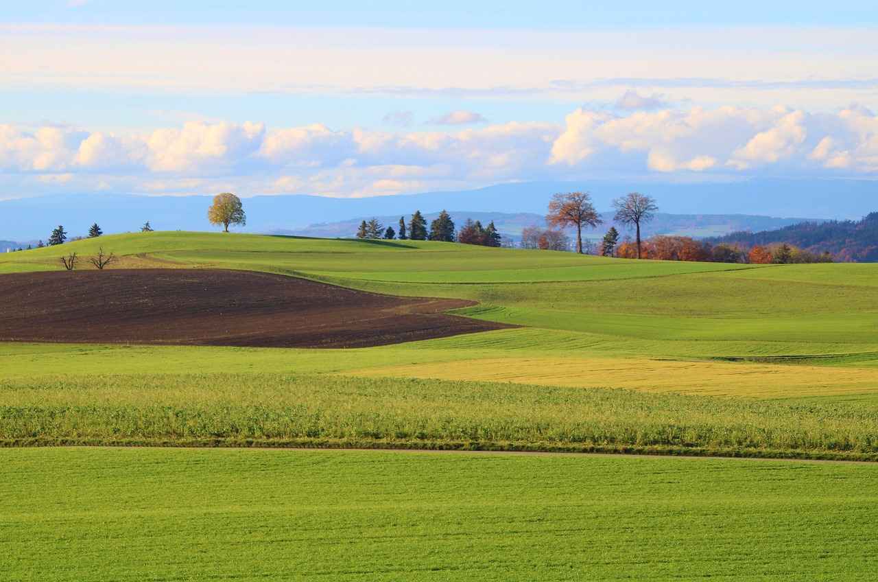 Why a Magnetic Phone Holder is the Best Choice for Car Mounting Why a Magnetic Phone Holder is the Best Choice for Car Mounting