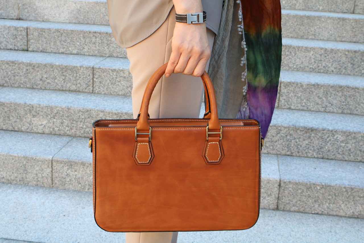Key Features of YSL Phone Holder Bags