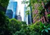 Exploring the Urban Jungle: A Comprehensive Guide to New York City Exploring the Urban Jungle: A Comprehensive Guide to New York City