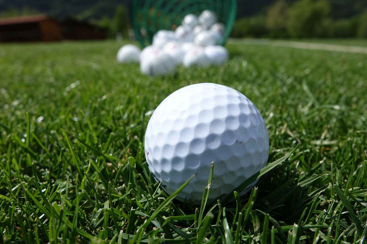 Golf Buggy Phone Holders: Convenient Mounting for Golfers