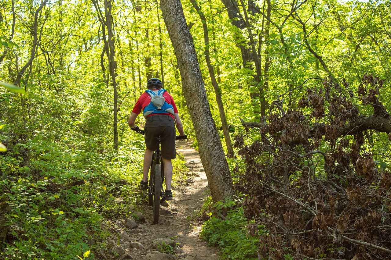 Handlebar Phone Holders: A Game-Changer for Cyclists