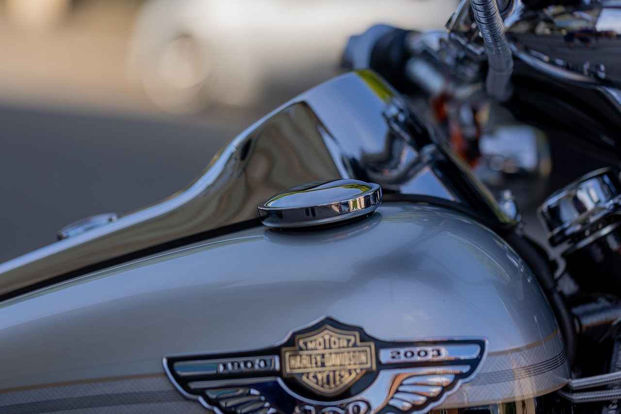 Harley Davidson Phone Holders: The Best Picks for Bikers