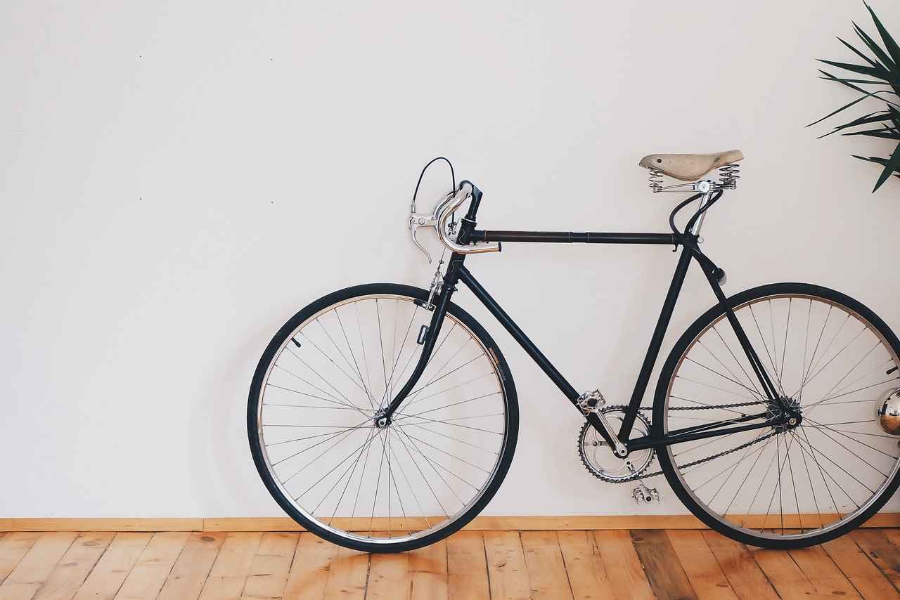 How to Choose the Best Bicycle Phone Holder for Your Ride