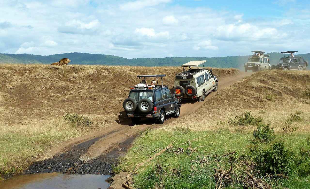 Choosing the Right Phone Holder for Your Jeep