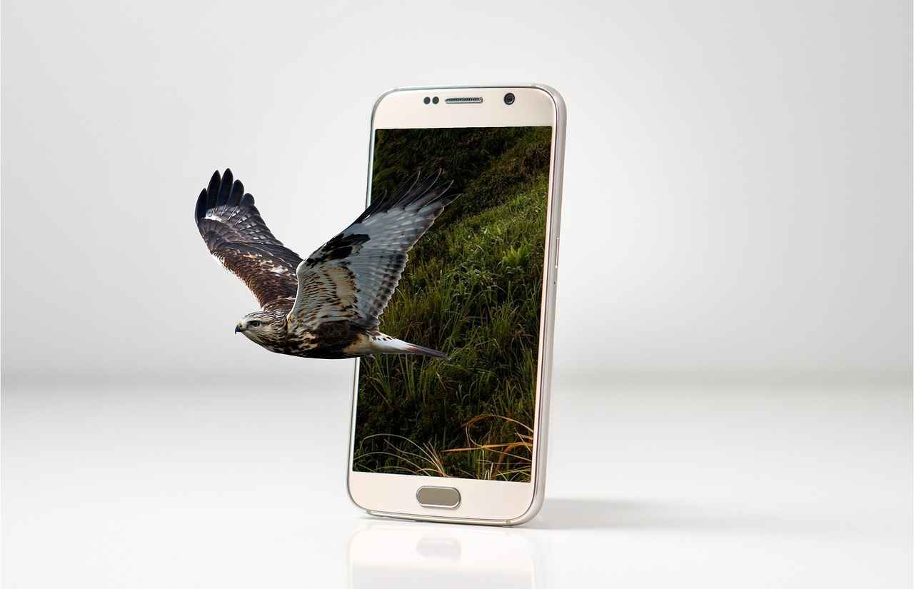 How to Install an Automatic Phone Holder