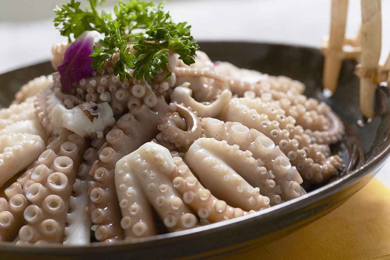 Key Features of Octopus Phone Holders