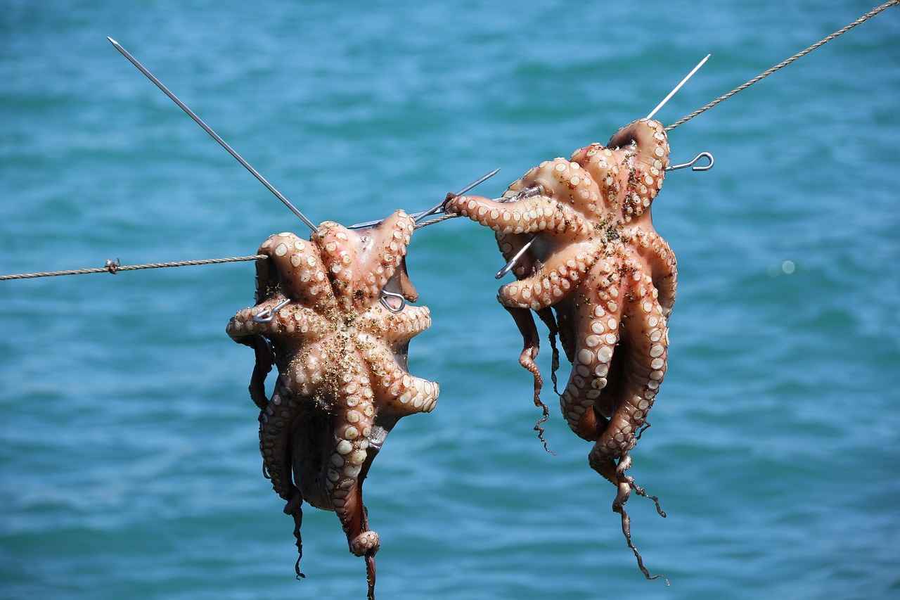 Why Choose an Octopus Phone Holder Over Traditional Stands?
